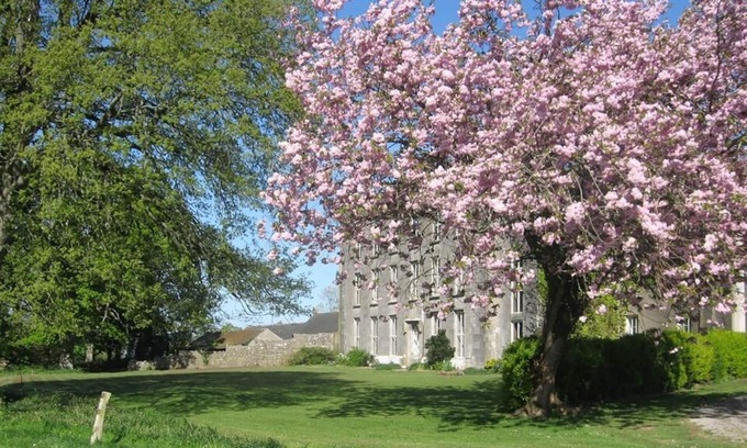 Kilmallock Cama Y Desayuno | Ash Hill B&B