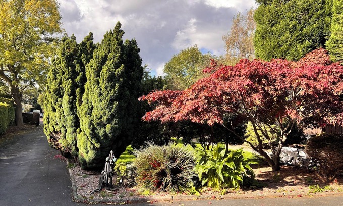Belfast Cama Y Desayuno | Ashfield Bed and Breakfast
