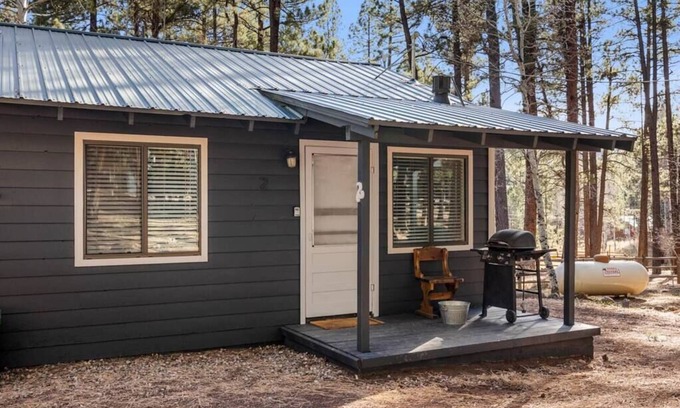 Greer Cabina | Aspen Cabin 2 Summary