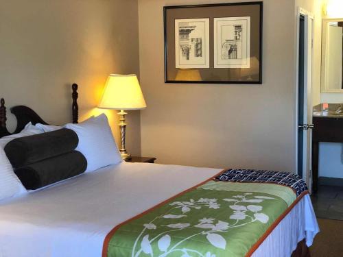 Braeswood Place Hotel | Astro Best Inn