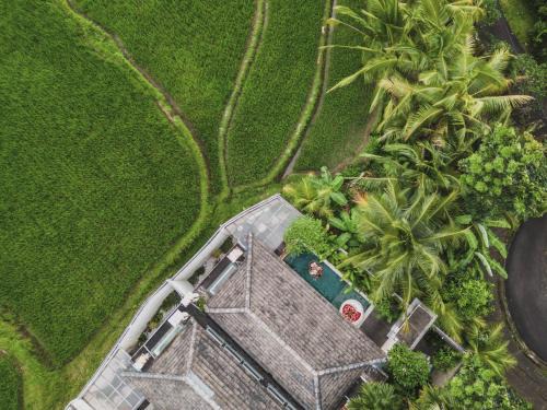 Sambahan Villa | Asvara Villa Ubud by Ini Vie Hospitality