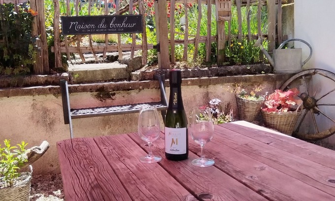 Cunfin Casa | At the foot of the Champenois vineyards house situated between vineyards and the Champenois forest
