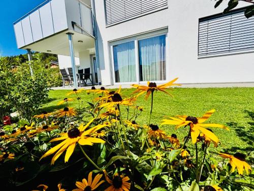 Albstadt Apartamento | Atemberaubender Ausblick mit Premium-Wanderwegen vor der Haustür