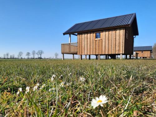 Ruinerwold Casa | Atmospheric lodge with unobstructed view located in beautiful Drenthe