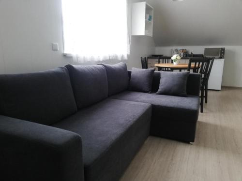 Druskininkai Casa | Atostogų namai
