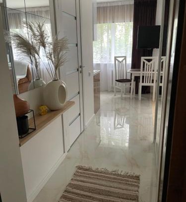 Anyksciai Apartamento | Atostogos