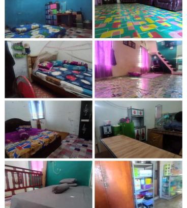 Komodo Casa | Atta komodo homestay