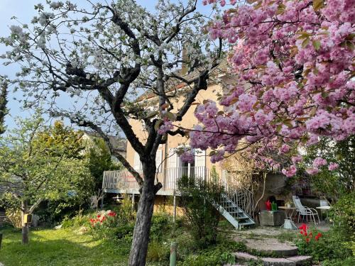 Zuchwil Cama Y Desayuno | au jardin