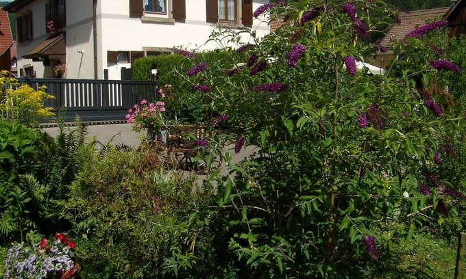 Stosswihr Casa | "Au Schneiget" casa unifamiliar grande