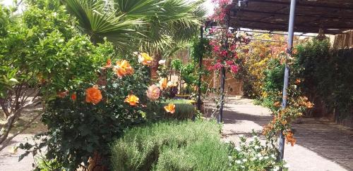 Nekob Cama Y Desayuno | Auberge Bassou