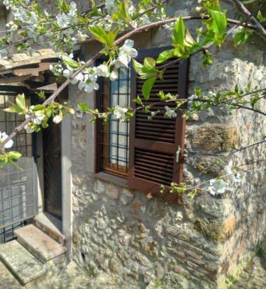 Tolfa Apartamento | Autenticum Agriturismo Tolfa