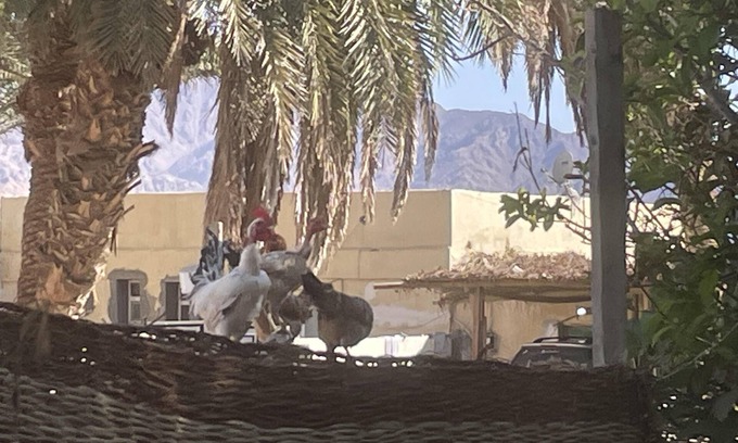 St. Catherine Casa | Authentic charming 2-Bed House in Dahab