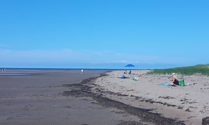 Pointe-du-Chene Cabaña | Available only to Atlantic Canadians, 3 minute walk to pet friendly beach.