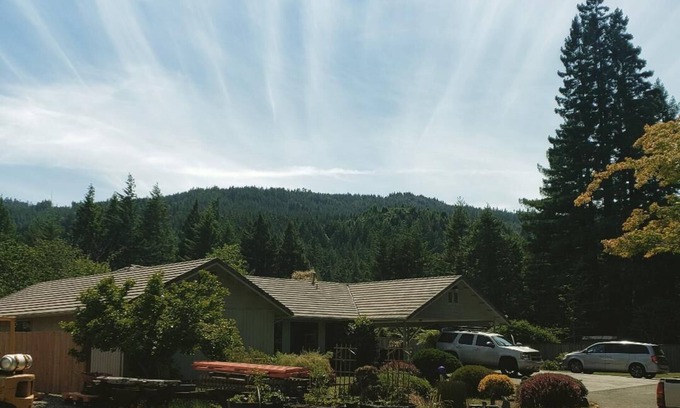 Bridgeville Casa | Avenida de los Gigantes Burl Bungalow