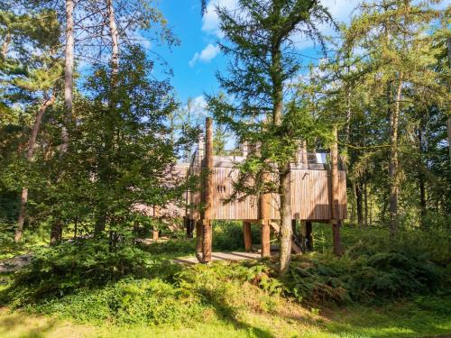 Maubray Casa | Award-Winning Forest Stay