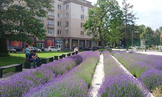 Kosice Old Town Apartamento | Impresionante casa de ensueño en el centro de la ciudad 2BR + garaje GRATIS