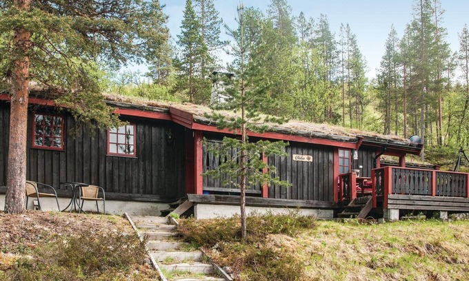 Akrestrømmen Casa | Impresionante casa en Rendalen con.