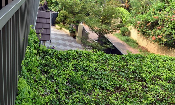 Thalassery Casa | Ayush Green - Home Away Home