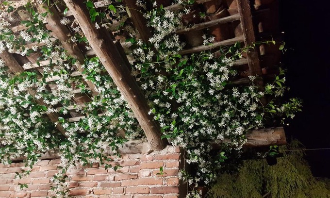 Momo Casa | Az.Agr.Cascina Moretta