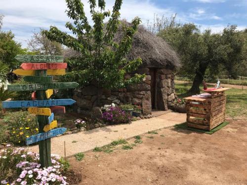 Borore Casa | Azienda agricola Affittacamere S'Ispinalba di Laura Pitzolu