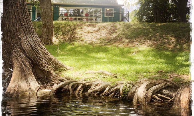 Wimberley Casa | Cypress Creek Waterfront, arroyo alimentado por manantiales para nadar, pescar y relajarse.