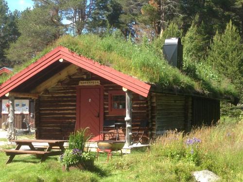 Elga Otro | Båtstø Camping