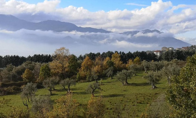 Atena Lucana Cama Y Desayuno | b&b Adamà