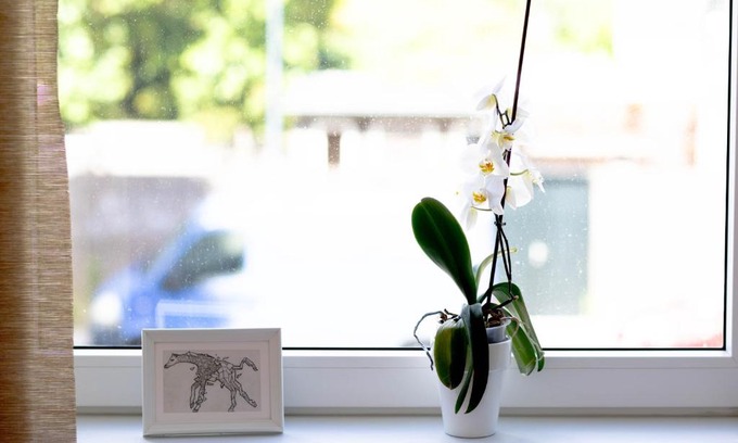 Haarlem Cama Y Desayuno | B&B Brouwersvaart