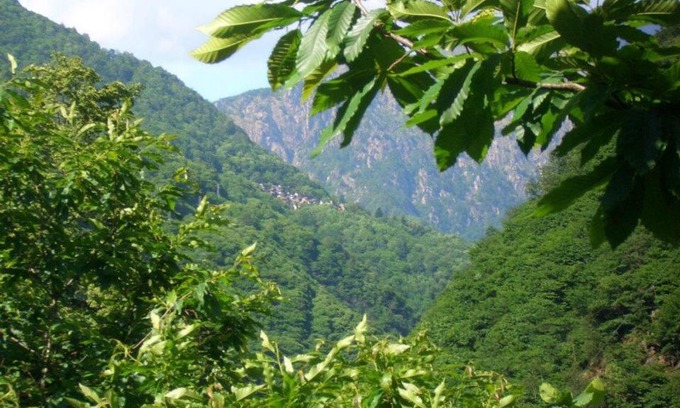 Cicogna Cama Y Desayuno | B&B CA' DEL PITUR CICOGNA