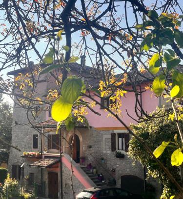 Camugnano Apartamento | B&B Camelia