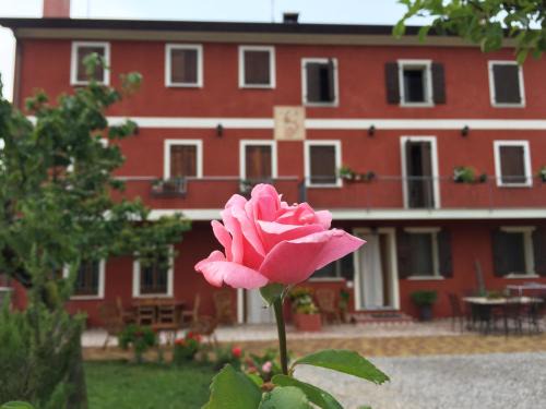 Soligo Cama Y Desayuno | B&B Casa del Conte