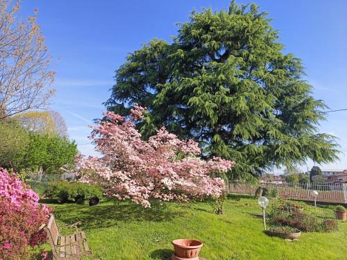 Cadorago Apartamento | B&B Il Melograno