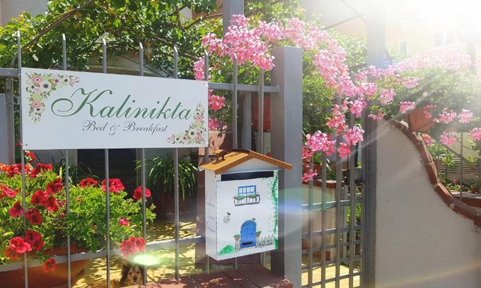 Marina di Ascea Cama Y Desayuno | B&B Kalinìkta