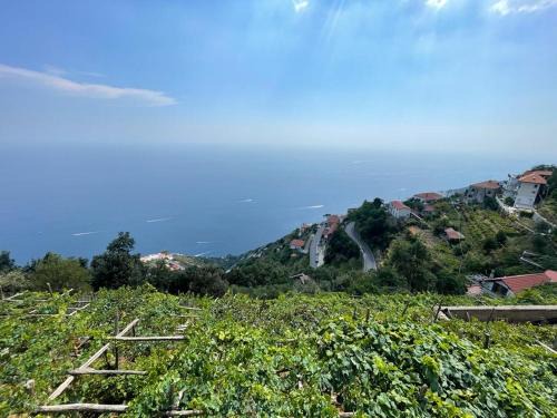 San Michele Cama Y Desayuno | B&b La Vigna