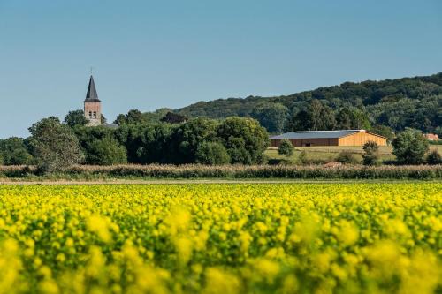 Oudenaarde Cama Y Desayuno | B@B Martinushoeve