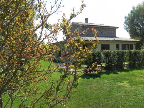 Campagnatico Cama Y Desayuno | B&B Monte di Bù