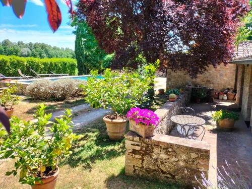 Sovicille Cama Y Desayuno | B&B Palazzo a Merse