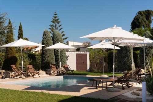 Bisceglie Cama Y Desayuno | B&B Radici d'Olivo
