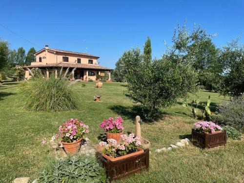 Coriano Cama Y Desayuno | B&B Rosaverde
