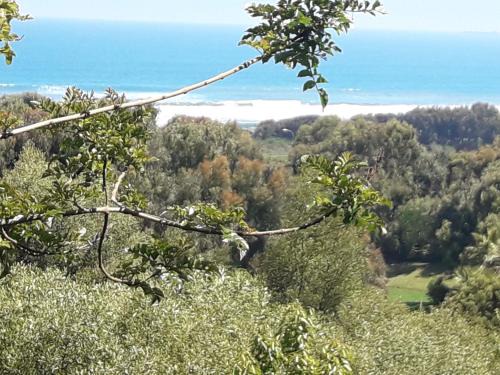 Santo Domingo Cama Y Desayuno | B&B Santo Domingo Chile ENGLISH SPOKEN Gran Departamento compartido frente al mar PARQUE TRICAO bird sanctuary 14kms 9miles away DESAYUNO ESTACIONAMIENTO Y WIFI GRATIS Free parking wifi and breakfast