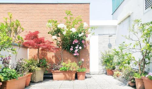 Vimodrone Apartamento | B&B Vimo - Appartamento con terrazzo privato Milano San Raffaele - Vimodrone