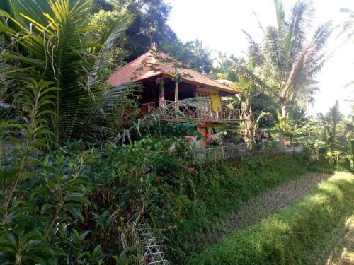 Penebel Cabina | Babahan Farmstay