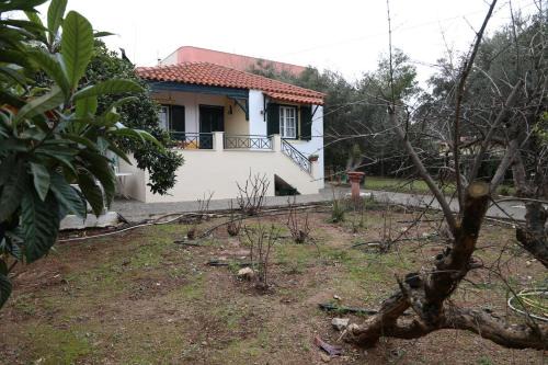 Selinia Casa | Babis Garden Salamina
