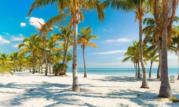 The Roads Casa | Bachelorette Oasis- Pool, Firepit, Close to Brickell, Flower Wall, Free Parking