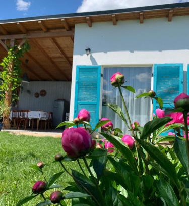Sebes Cama Y Desayuno | Backyard Cottage