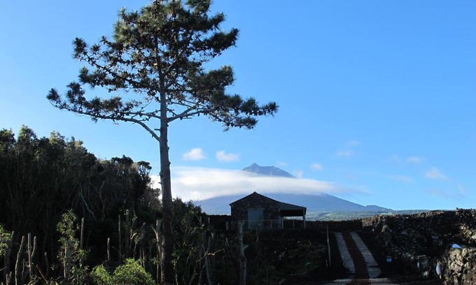 Sao Roque do Pico Casa | Baco's Vineyard