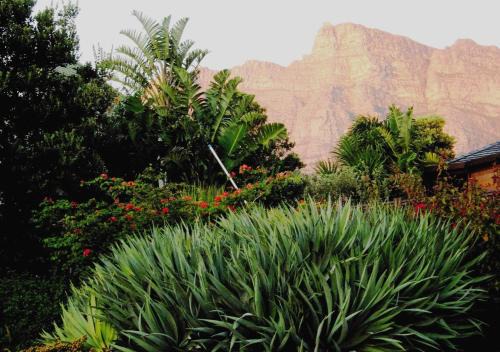 Camps Bay Casa | Bakoven Cottage
