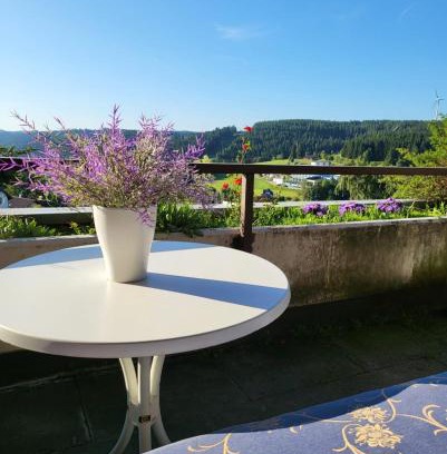 Schonach im Schwarzwald Apartamento | Balcony-Apartment besides forest