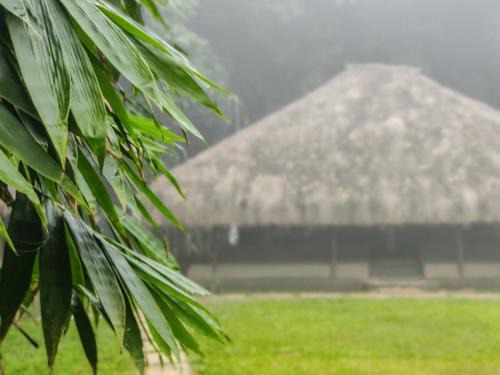Mananthavady Cama Y Desayuno | Bamboo Grove