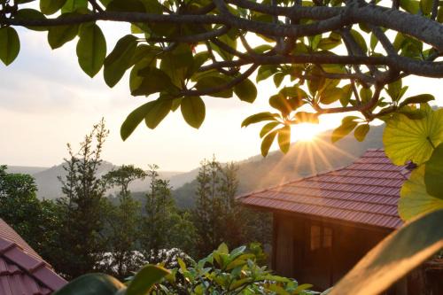 George Town Casa | Bao Sheng Durian Farm